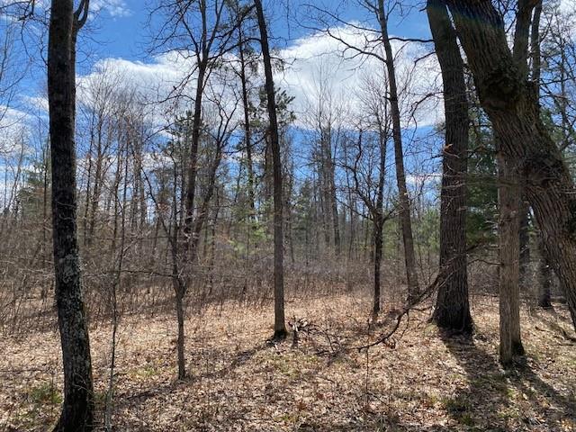  Lot 2 Pash Drive - Trego, Wisconsin 54888
