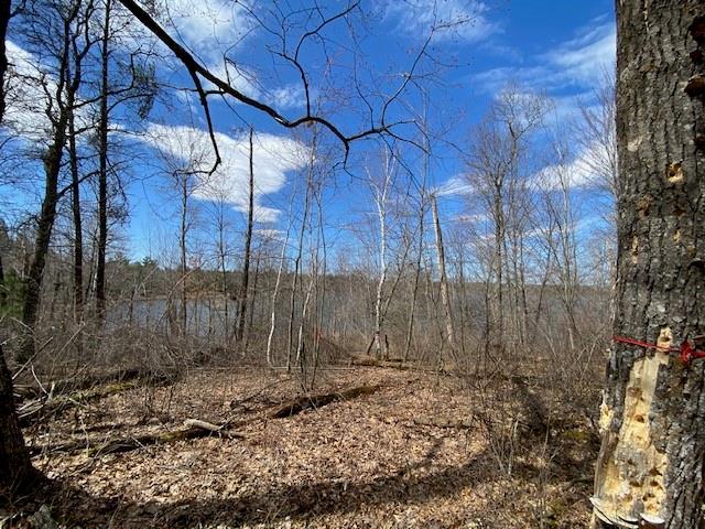  Lot 2 Pash Drive - Trego, Wisconsin 54888