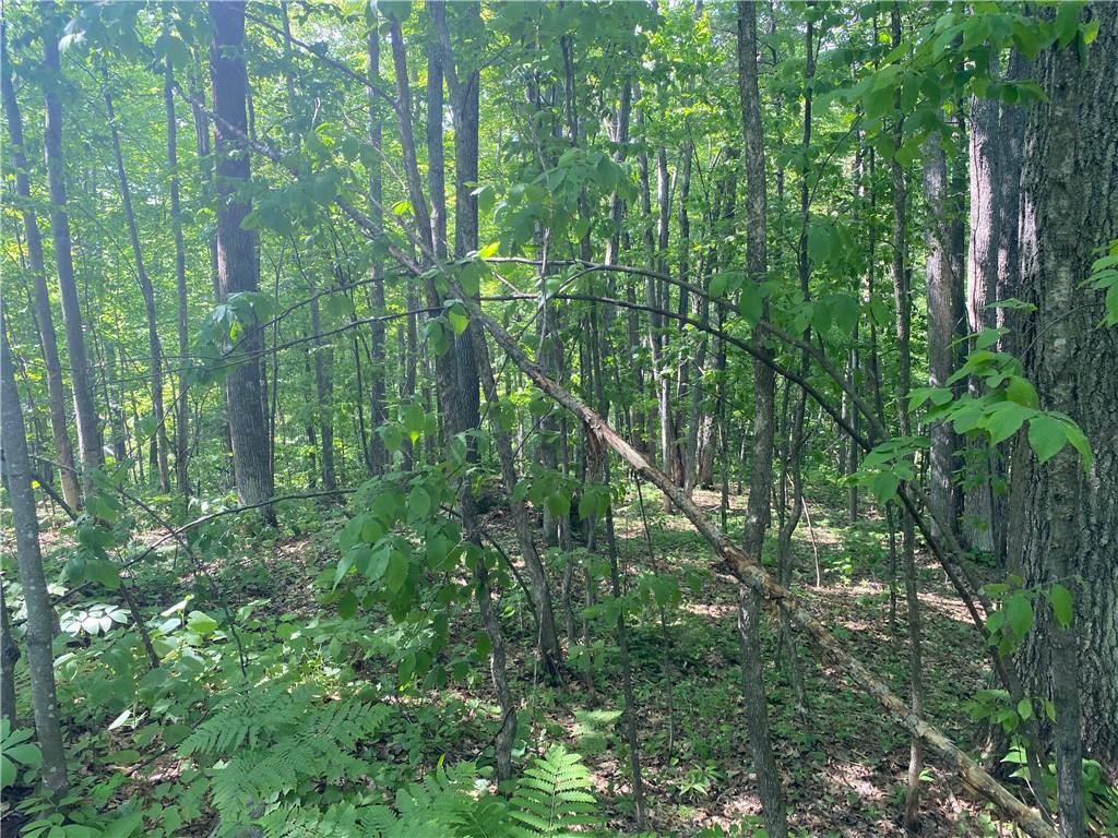  Lot 7 Secluded Trail - Hayward, Wisconsin 54843