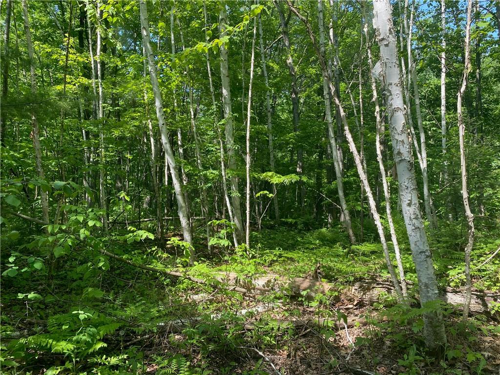  Lot 7 Secluded Trail - Hayward, Wisconsin 54843