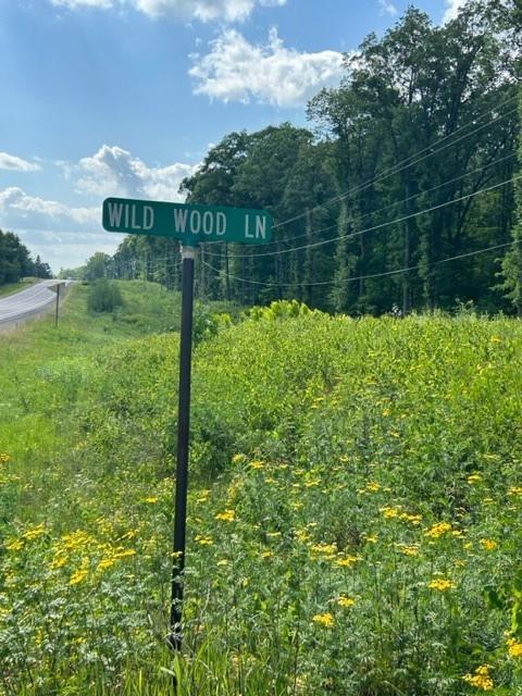   Wild Wood Lane - Birchwood, Wisconsin 54817