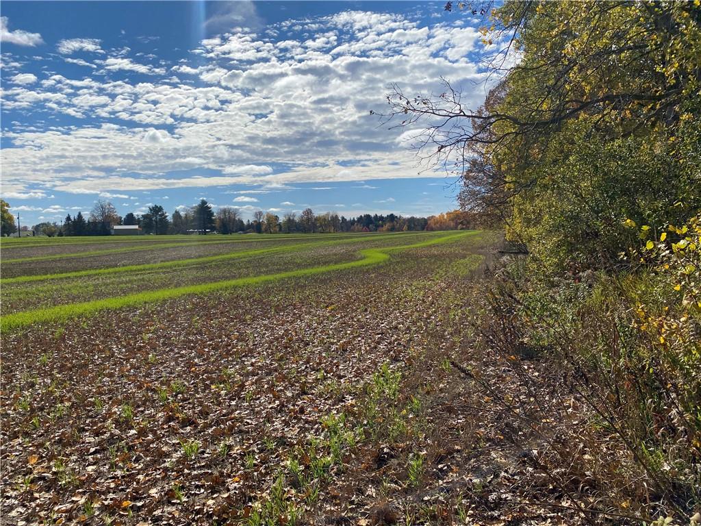  25 Acres 27 1/2 Ave  - Rice Lake, Wisconsin 54868