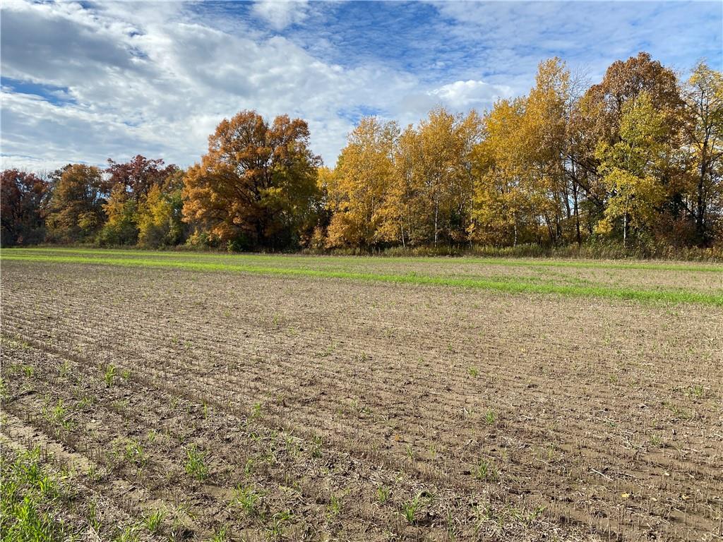  25 Acres 27 1/2 Ave  - Rice Lake, Wisconsin 54868