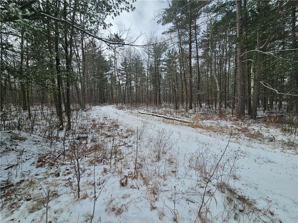  LOT 0 COUNTY HWY E  - Springbrook, Wisconsin 54875